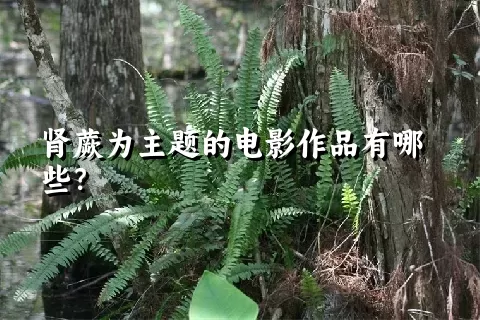 肾蕨为主题的电影作品有哪些？