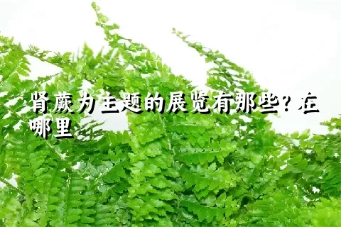 肾蕨为主题的展览有那些？在哪里