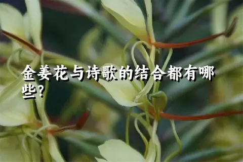 金姜花与诗歌的结合都有哪些？