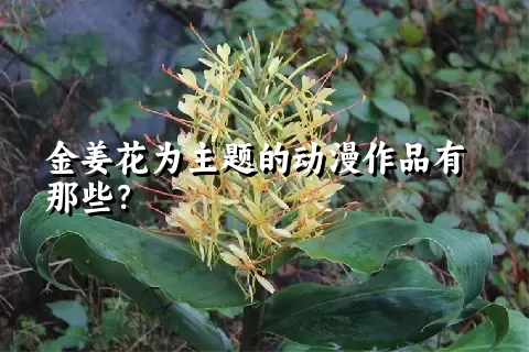 金姜花为主题的动漫作品有那些？