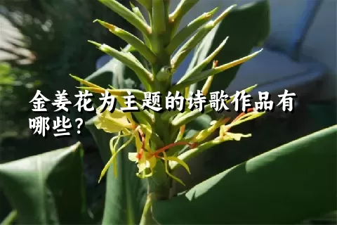 金姜花为主题的诗歌作品有哪些？