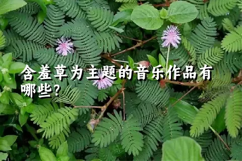 含羞草为主题的音乐作品有哪些？