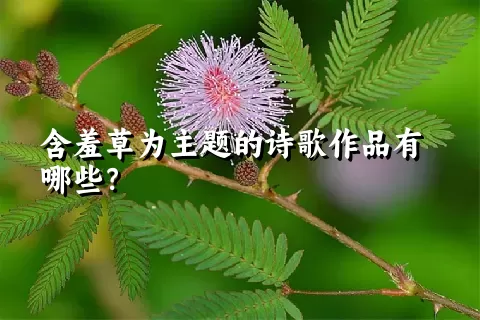 含羞草为主题的诗歌作品有哪些？