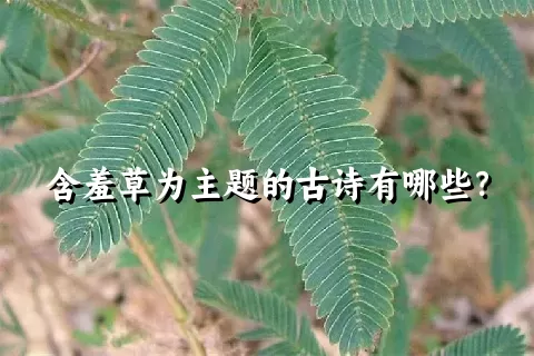 含羞草为主题的古诗有哪些？