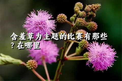 含羞草为主题的比赛有那些？在哪里