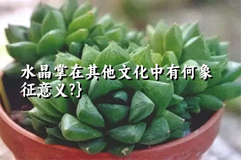 水晶掌是什么植物?