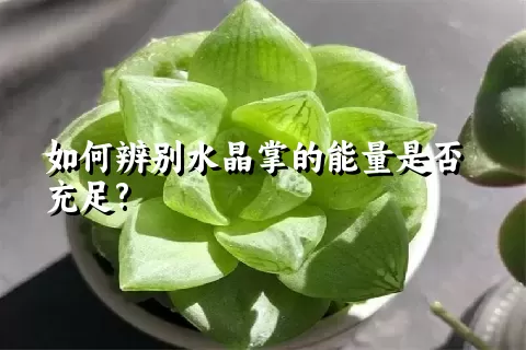 水晶掌有什么栽培技巧？