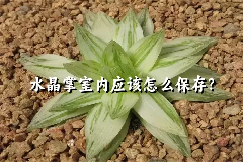 水晶掌室内应该怎么保存？