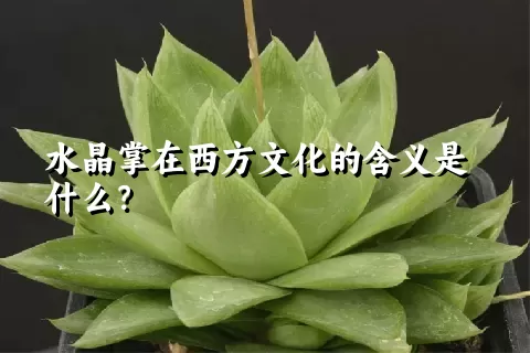 水晶掌在西方文化的含义是什么？