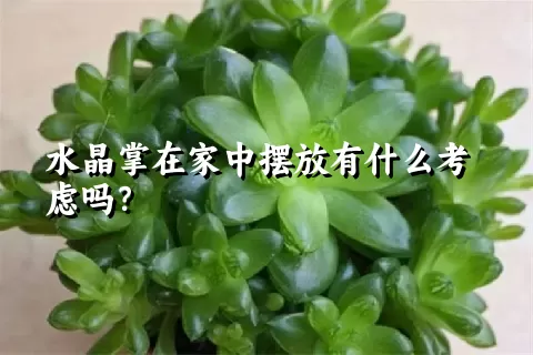 水晶掌在家中摆放有什么考虑吗？