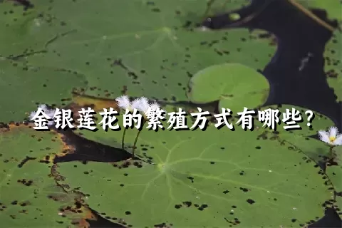 金银莲花的繁殖方式有哪些？