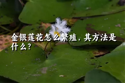 金银莲花怎么繁殖，其方法是什么？