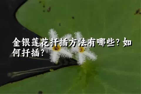 金银莲花扦插方法有哪些？如何扦插？