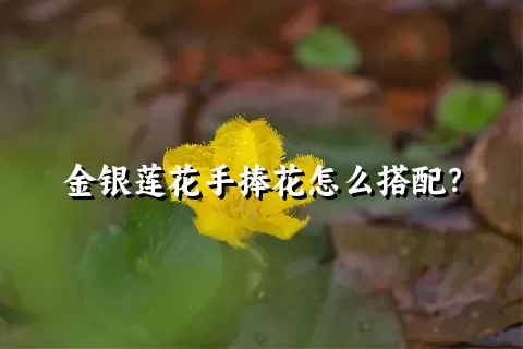 金银莲花手捧花怎么搭配？