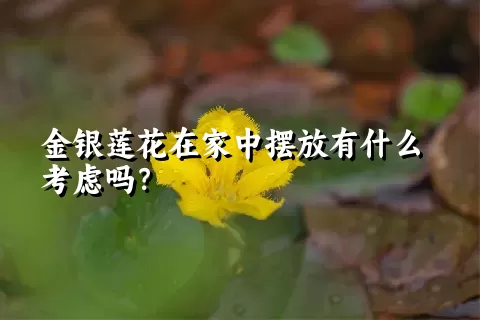 金银莲花在家中摆放有什么考虑吗？