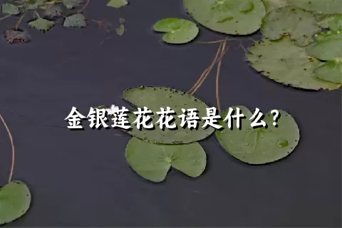 金银莲花花语是什么？