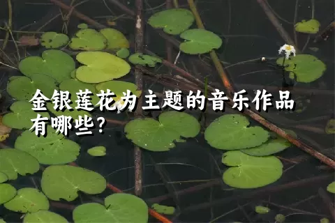 金银莲花为主题的音乐作品有哪些？