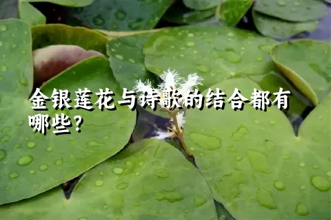 金银莲花与诗歌的结合都有哪些？