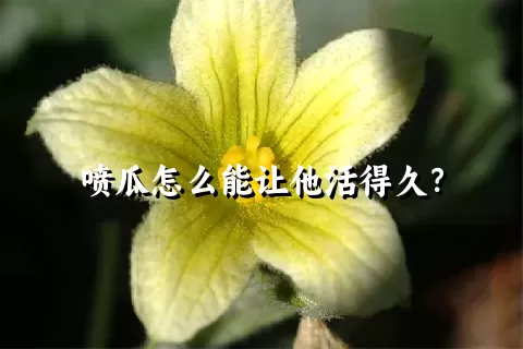 喷瓜怎么能让他活得久？