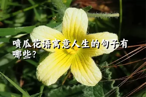 喷瓜花语寓意人生的句子有哪些？