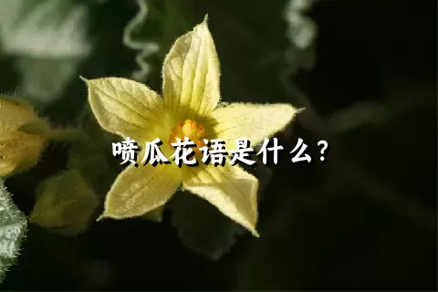 喷瓜花语是什么？