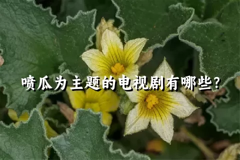 喷瓜为主题的电视剧有哪些？