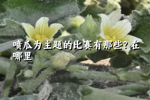 喷瓜为主题的比赛有那些？在哪里