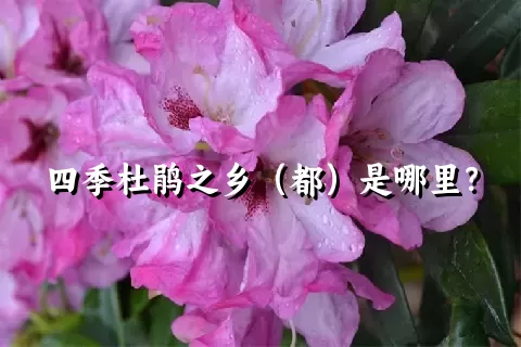 四季杜鹃之乡（都）是哪里？