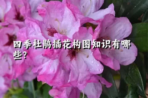 四季杜鹃插花构图知识有哪些？