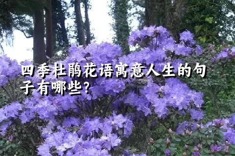 四季杜鹃花语寓意人生的句子有哪些？