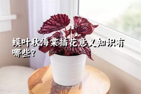 蟆叶秋海棠插花意义知识有哪些？