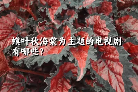 蟆叶秋海棠为主题的电视剧有哪些？