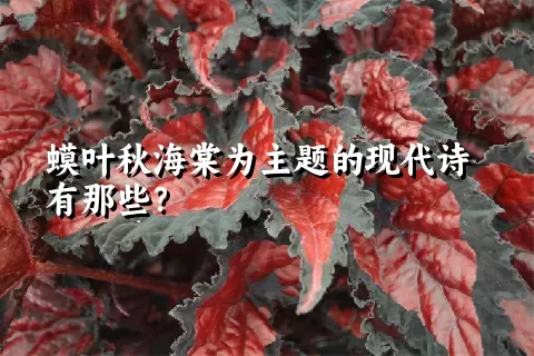 蟆叶秋海棠为主题的现代诗有那些？