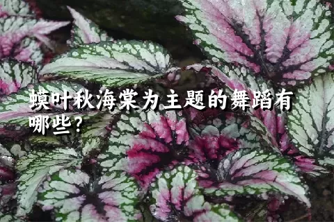 蟆叶秋海棠为主题的舞蹈有哪些？