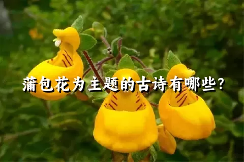 蒲包花为主题的古诗有哪些？