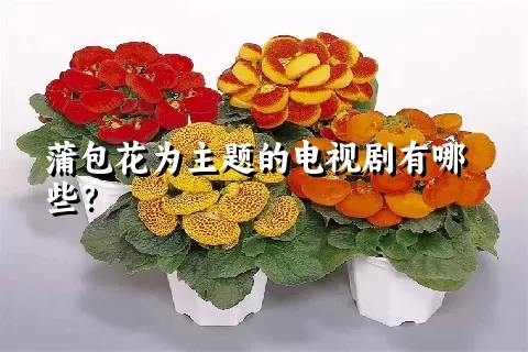 蒲包花为主题的电视剧有哪些？