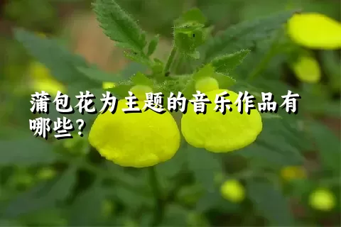 蒲包花为主题的音乐作品有哪些？