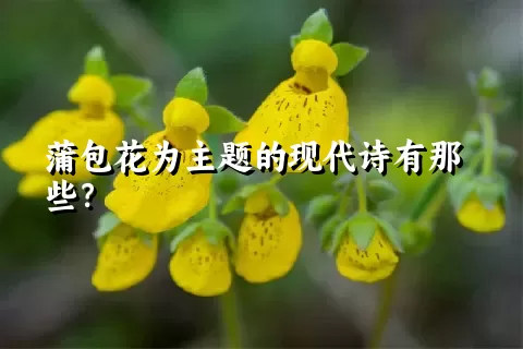 蒲包花为主题的现代诗有那些？