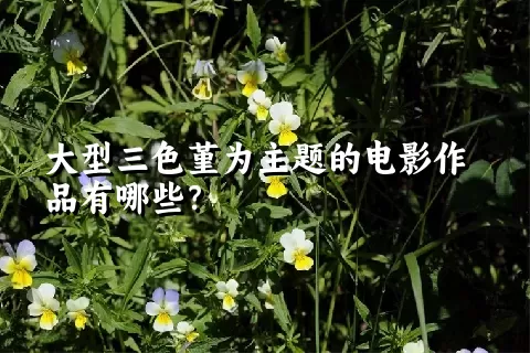 大型三色堇为主题的电影作品有哪些？