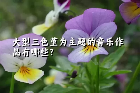 大型三色堇为主题的音乐作品有哪些？