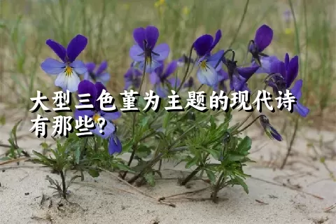 大型三色堇为主题的现代诗有那些？