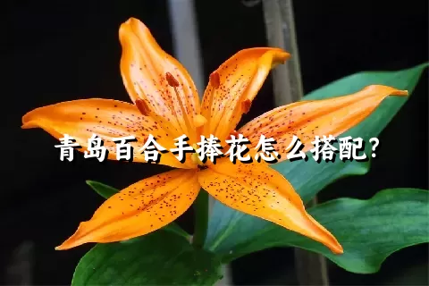 青岛百合手捧花怎么搭配？