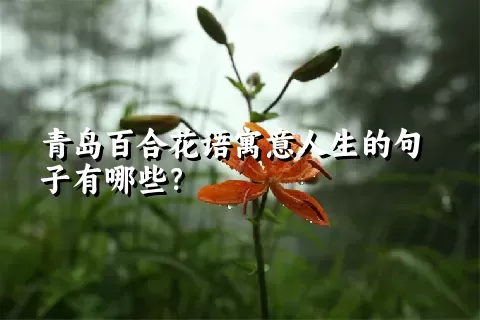 青岛百合花语寓意人生的句子有哪些？