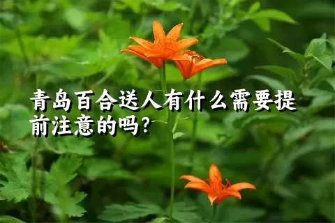 青岛百合送人有什么需要提前注意的吗？