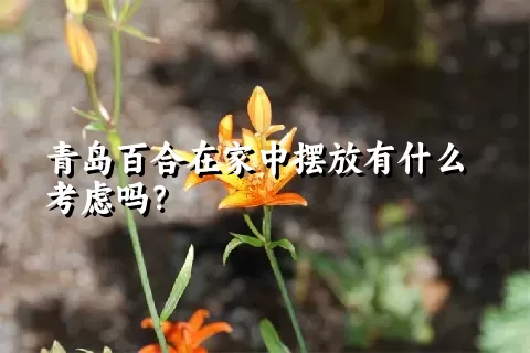 青岛百合在家中摆放有什么考虑吗？