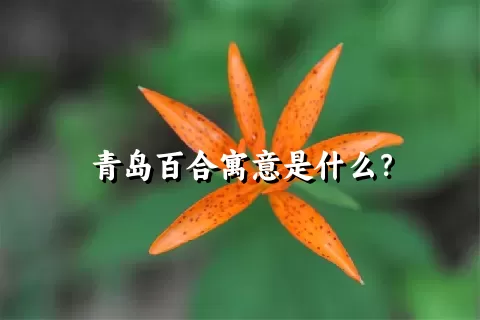 青岛百合寓意是什么？