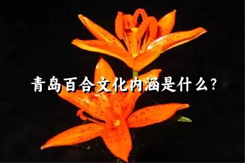 青岛百合文化内涵是什么？