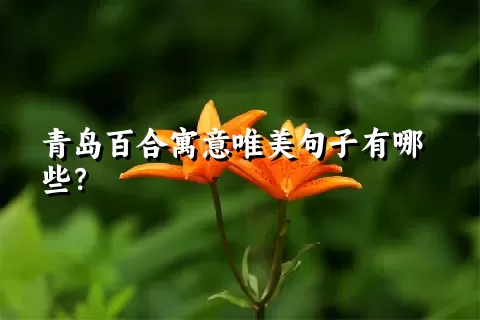 青岛百合寓意唯美句子有哪些？