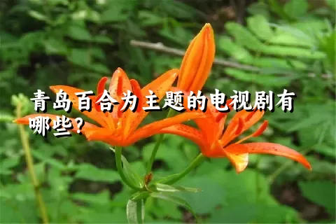 青岛百合为主题的电视剧有哪些？