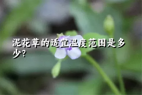 泥花草的适宜温度范围是多少？